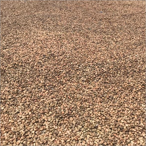 Raw Cashew Nuts