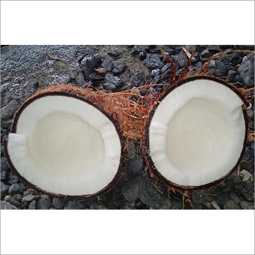 Raw Coconut By PT. NAS BARAKAH INTERNATIONAL