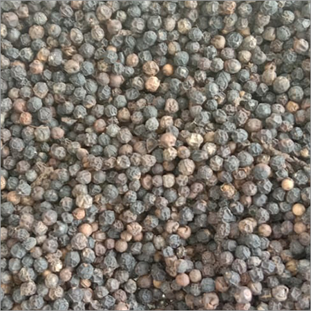 Black Pepper