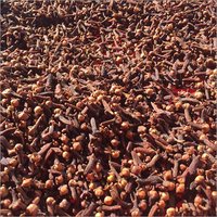 Indonesian Cloves