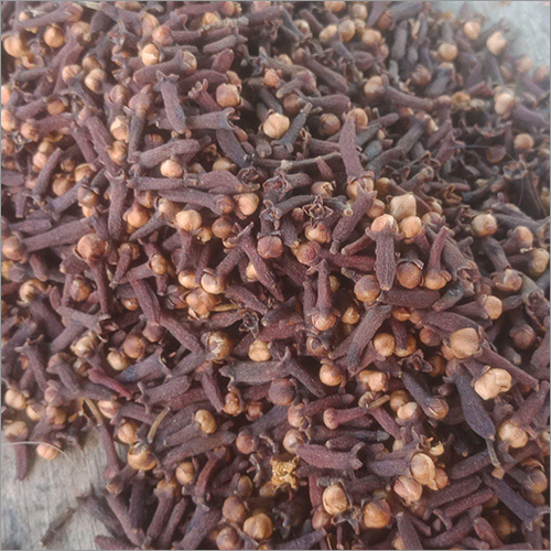 Indonesian Cloves