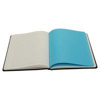 Comma Laser - A5 Size - Hard Bound Notebook (Etched Blue Statue of Liberty)