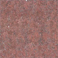 Omega Red Vitrified Floor Tiles