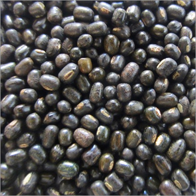 Whole Black Gram Urad Dal