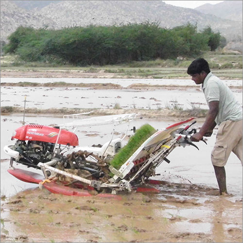 4 And 6 Rows Paddy Transplanter