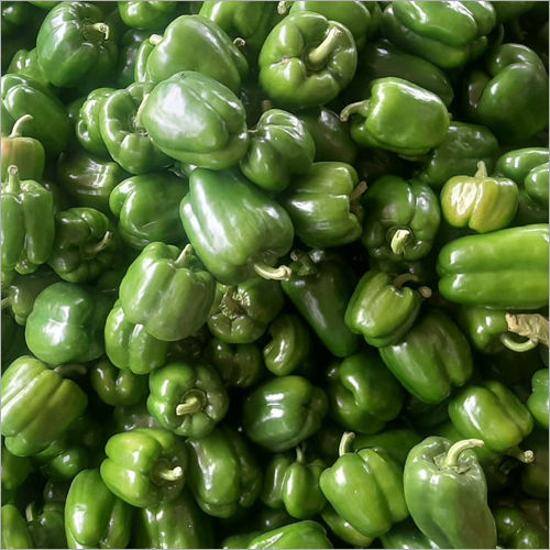 Green Capsicum Shelf Life: 12-15 Days