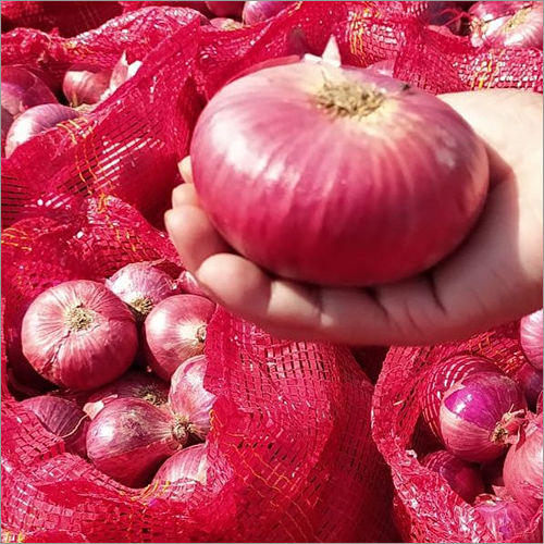 Fresh Red Onion