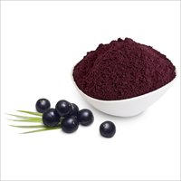 Elderberry Extracts