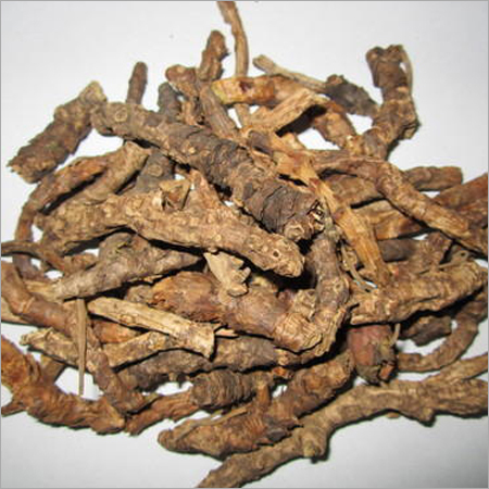 Picrorhiza Kurroa Ingredients: Natural Herbs