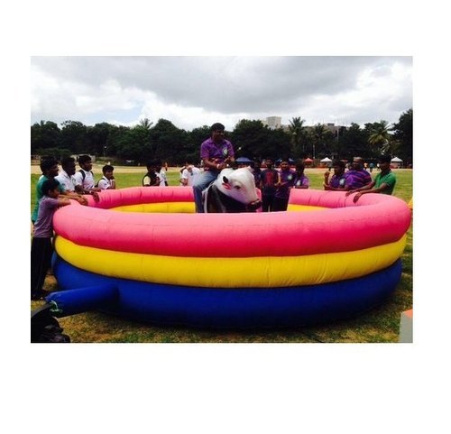 Mechanical Bull Ride