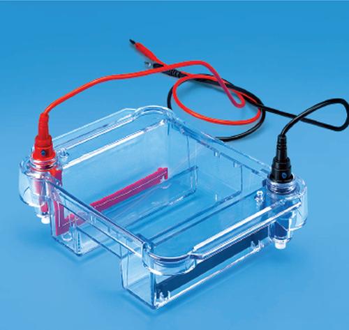 Tarsons 7050 Midi Submarine Electrophoresis Unit Application: Yes