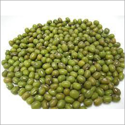 Green Gram Seeds By ASGME EXPORTS