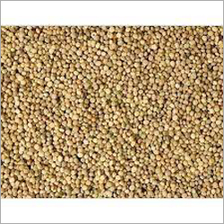 Guar gum seeds By ASGME EXPORTS