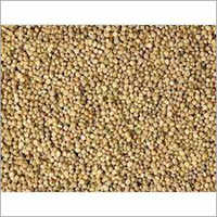 Guar Gum Seeds - Small Irregular Tan Seeds | Minimal Impurities, 10-12% Moisture, Bulk Bags