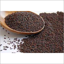 Mustard Seeds