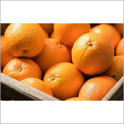 Fresh Oranges By ASGME EXPORTS