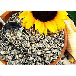 Sunflower Seeds