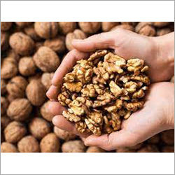 Fresh Walnuts