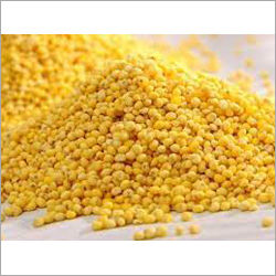 Yellow Millets