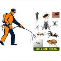 Industrial Pest Control Services