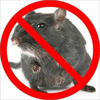 Rodent Pest Control Services