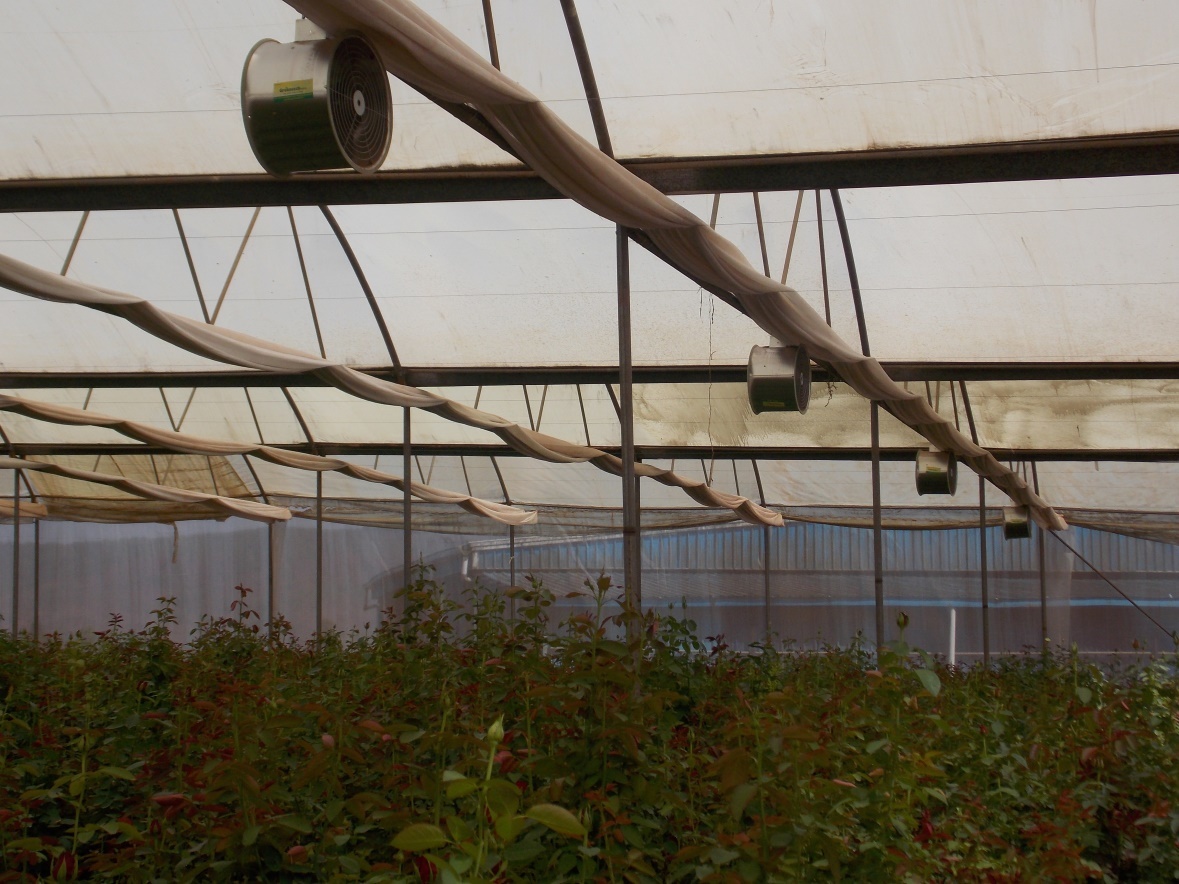 Greenhouse Air Circulation Fan