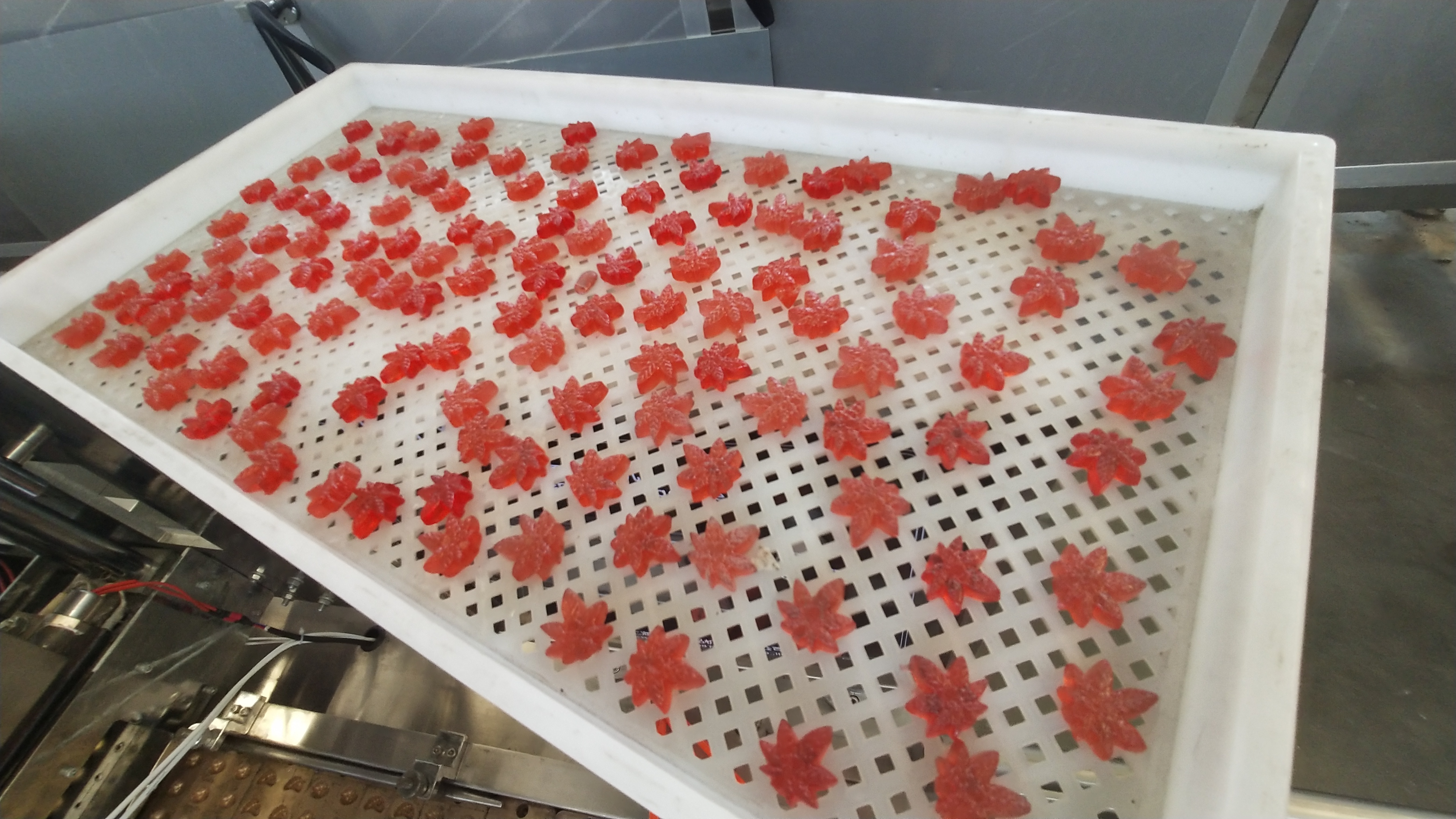 810*595*70mm Plastic Shallow Basket gummy candy starch gummy plastic drying tray for candy machine