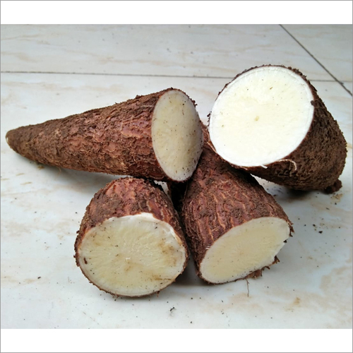 Fresh Cassava By BTC PROFIT NETWORK