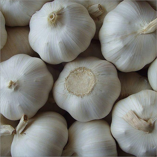 Fresh Garlic
