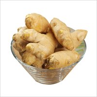 Ginger