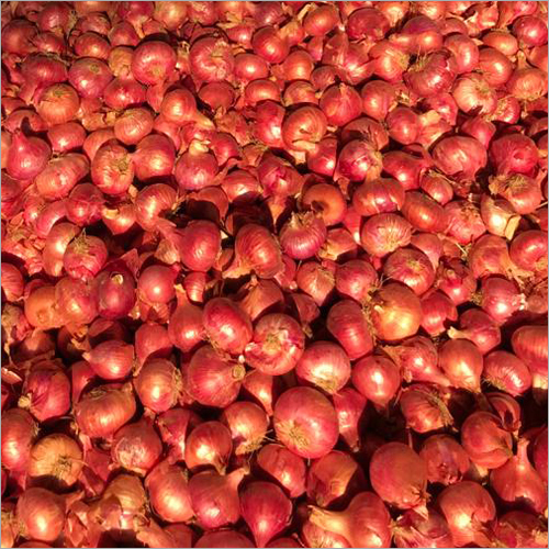 Natural Red Onion
