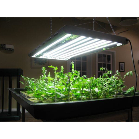 Grow Lights
