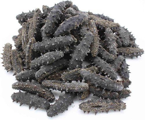 Frozen Sea Cucumber