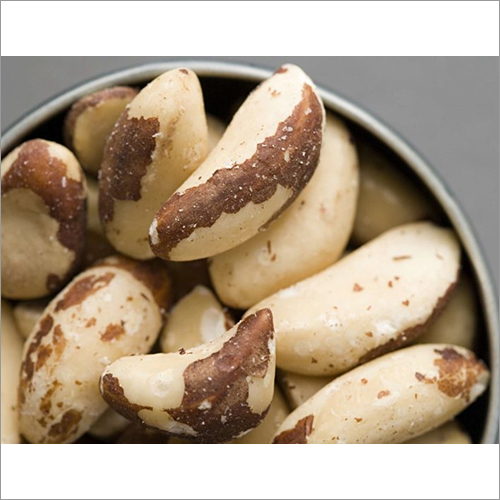 Brazil Nut