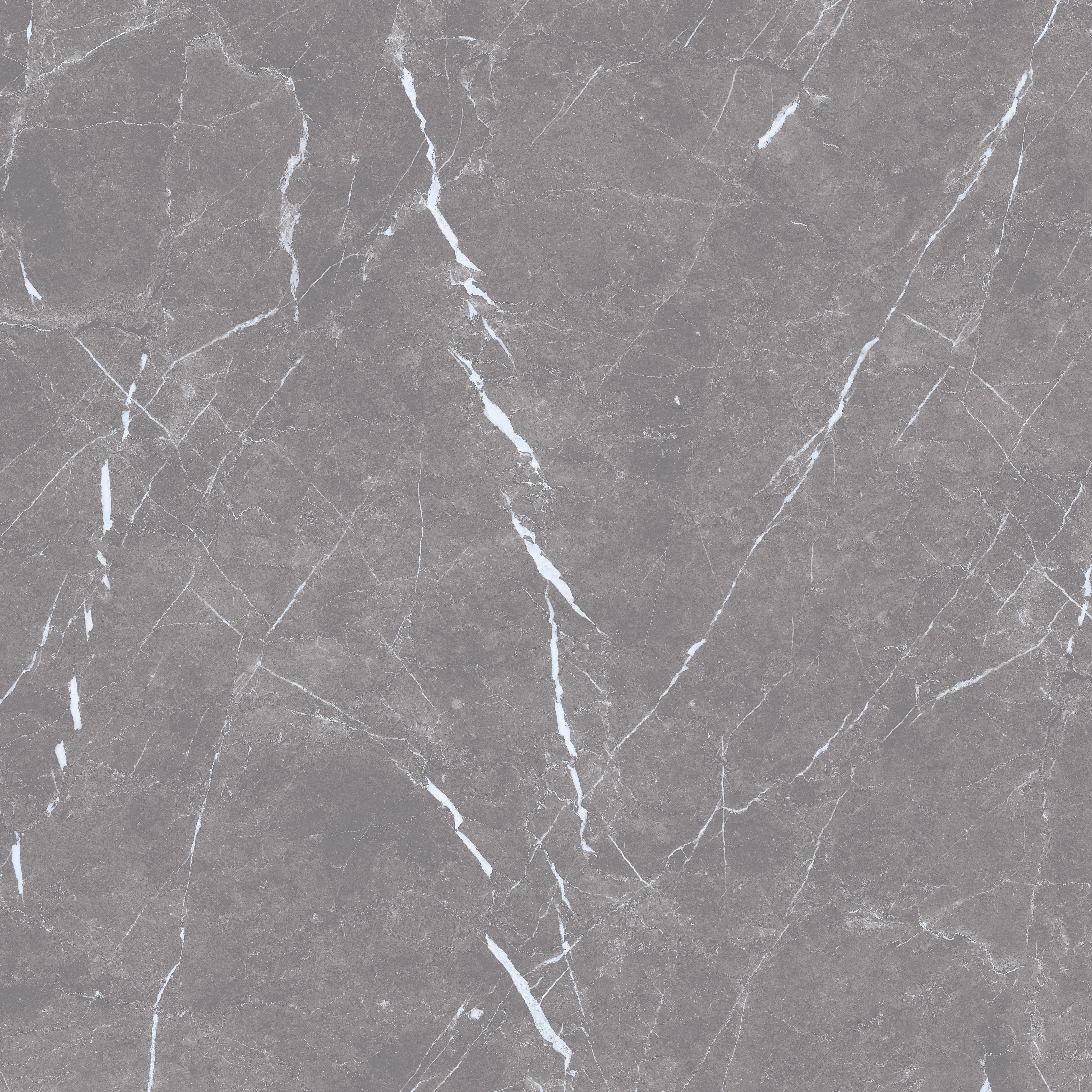 Arctic Grey 600x600 mm Glossy Porcelain Tiles