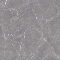 Arctic Grey 600x600 mm Glossy Porcelain Tiles