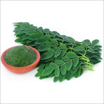 Moringa Leaves