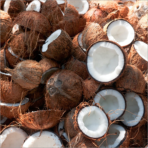 Pure Coconuts