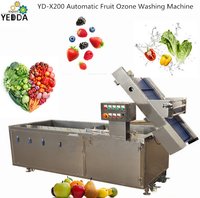 Full Automatic Fruit Vegetable Air Bubble Washing Machine