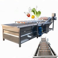 Full Automatic Fruit Vegetable Air Bubble Washing Machine