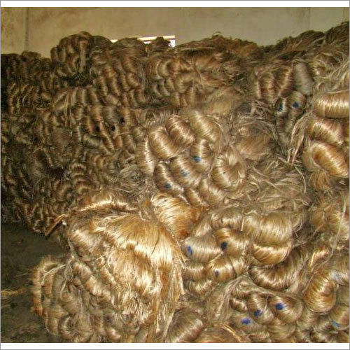 Raw Jute for Ropes