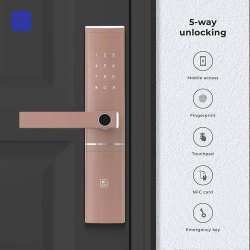Open Door Smart Door Lock left Handle Rose Colour