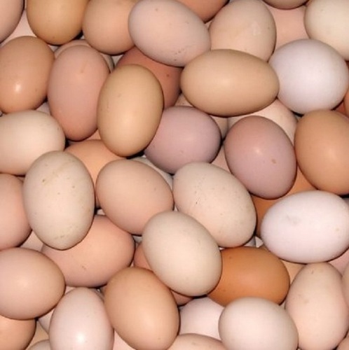 Chicken Egg/farm Fresh Chicken Table Eggs/fresh Table Chicken Eggs