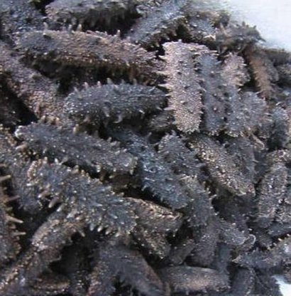 Dried Sea Cucumber