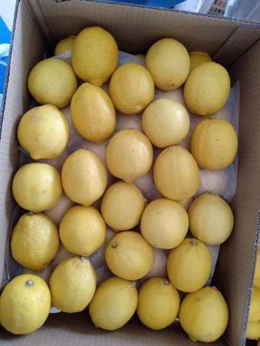 Fresh Lemon