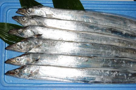High Quality Frozen Ribbon Fish