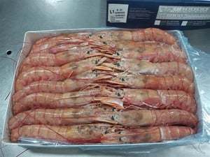 Frozen Red Shrimps