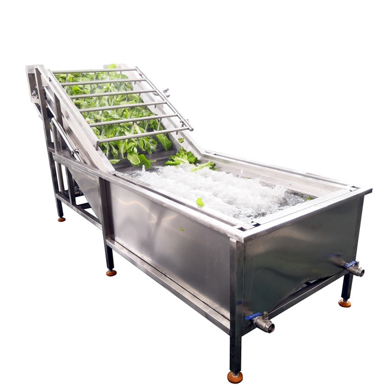 Leeks Garlic Leaf Bubble Washing Machine With High Spray