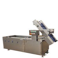 Leeks Garlic Leaf Bubble Washing Machine With High Spray