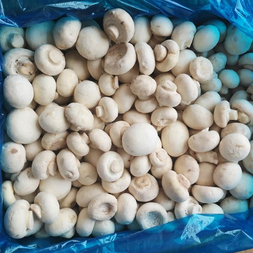 Fresh Mushroom - IQF Frozen Champignon, Whole/Slice 10kg Carton Packaging | Grade A, BRC & HACCP Certified, Long Shelf Life, Convenient Storage
